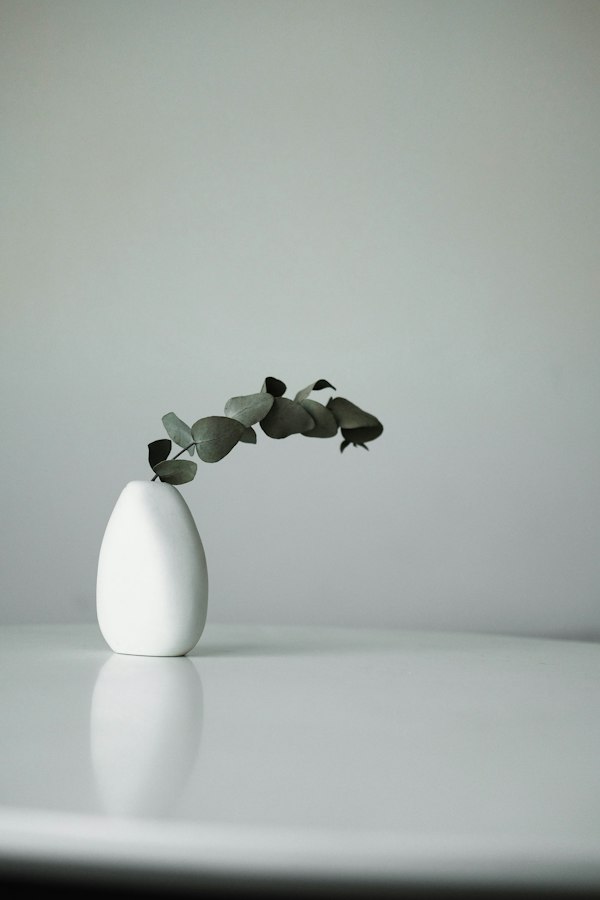 Cerámica & Decoración